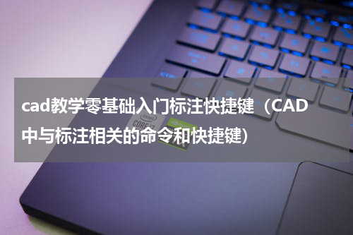 cad教学零基础入门标注快捷键（CAD中与标注相关的命令和快捷键）