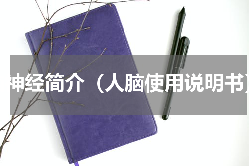 脑神经简介（人脑使用说明书）