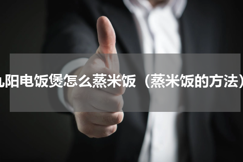 九阳电饭煲怎么蒸米饭（蒸米饭的方法）