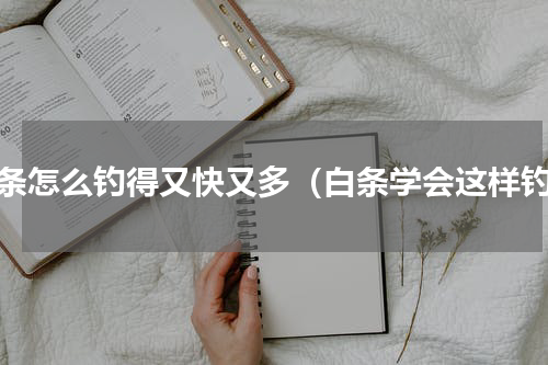 白条怎么钓得又快又多（白条学会这样钓）