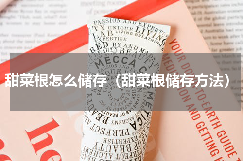 甜菜根怎么储存（甜菜根储存方法）