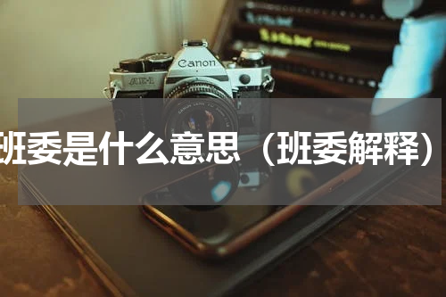 班委是什么意思（班委解释）