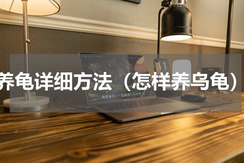 养龟详细方法（怎样养乌龟）