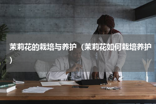 茉莉花的栽培与养护（茉莉花如何栽培养护）