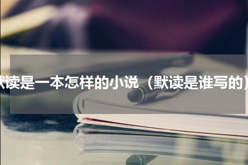 默读是一本怎样的小说（默读是谁写的）
