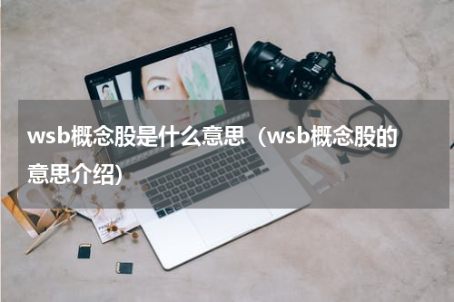 wsb概念股是什么意思（wsb概念股的意思介绍）