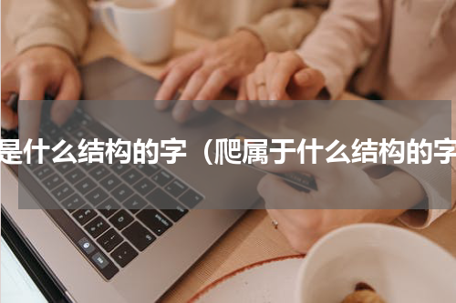 爬是什么结构的字（爬属于什么结构的字）