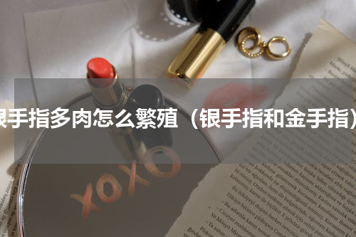 银手指多肉怎么繁殖（银手指和金手指）