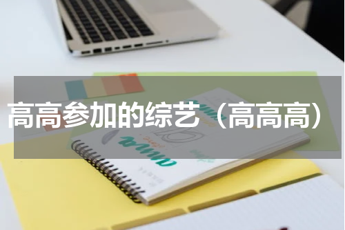 高高参加的综艺（高高高）