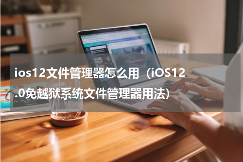 ios12文件管理器怎么用（iOS12.0免越狱系统文件管理器用法）