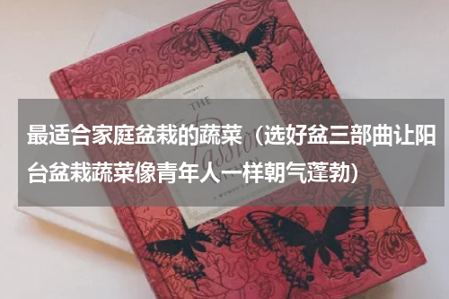 最适合家庭盆栽的蔬菜（选好盆三部曲让阳台盆栽蔬菜像青年人一样朝气蓬勃）
