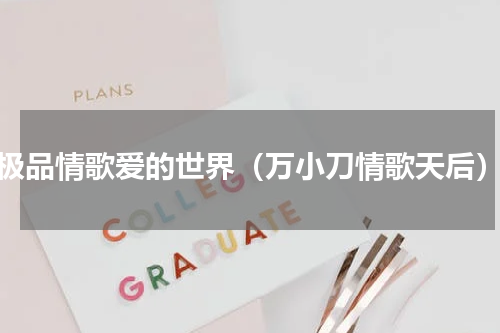 极品情歌爱的世界（万小刀情歌天后）