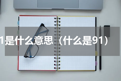 91是什么意思（什么是91）