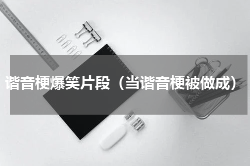 谐音梗爆笑片段（当谐音梗被做成）
