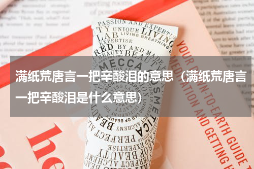 满纸荒唐言一把辛酸泪的意思（满纸荒唐言一把辛酸泪是什么意思）