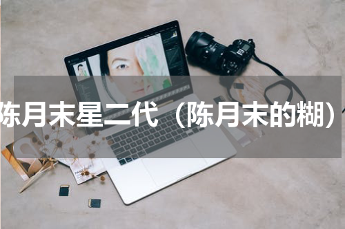 陈月末星二代（陈月末的糊）