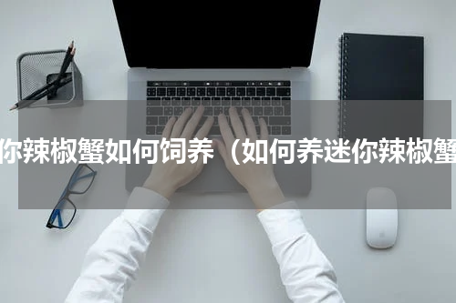 迷你辣椒蟹如何饲养（如何养迷你辣椒蟹）