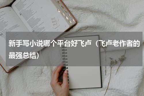 新手写小说哪个平台好飞卢（飞卢老作者的最强总结）