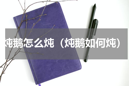 炖鹅怎么炖（炖鹅如何炖）