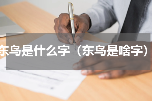 东鸟是什么字（东鸟是啥字）