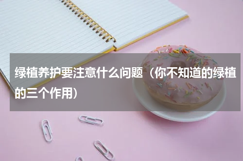 绿植养护要注意什么问题（你不知道的绿植的三个作用）