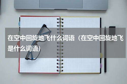 在空中回旋地飞什么词语（在空中回旋地飞是什么词语）