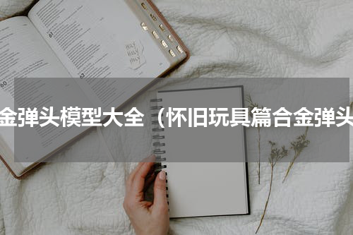合金弹头模型大全（怀旧玩具篇合金弹头）
