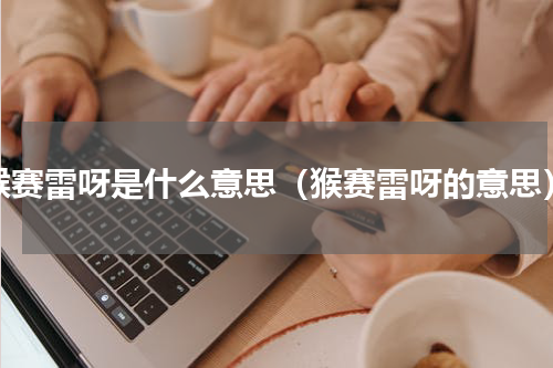猴赛雷呀是什么意思（猴赛雷呀的意思）