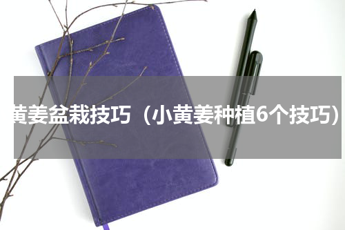 小黄姜盆栽技巧（小黄姜种植6个技巧）