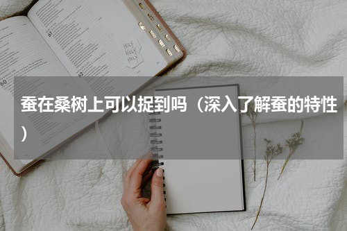 蚕在桑树上可以捉到吗（深入了解蚕的特性）