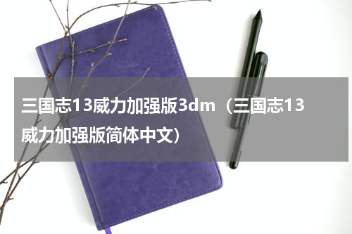 三国志13威力加强版3dm（三国志13威力加强版简体中文）