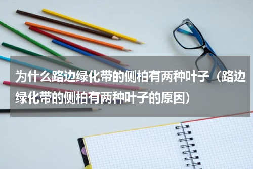 为什么路边绿化带的侧柏有两种叶子（路边绿化带的侧柏有两种叶子的原因）