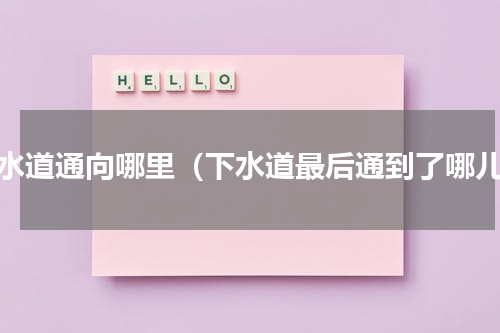 下水道通向哪里（下水道最后通到了哪儿）