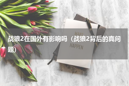 战狼2在国外有影响吗（战狼2背后的真问题）