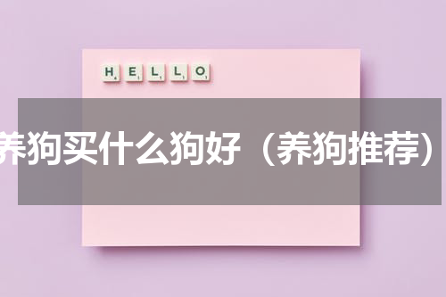 养狗买什么狗好（养狗推荐）