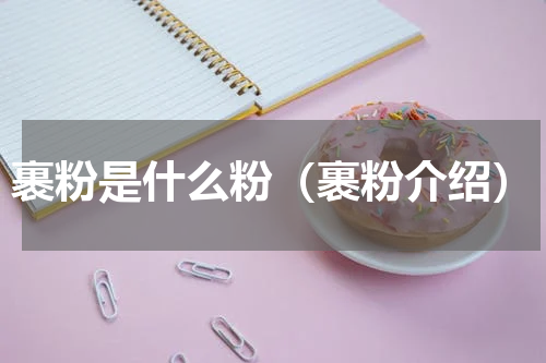 裹粉是什么粉（裹粉介绍）
