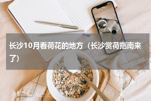 长沙10月看荷花的地方（长沙赏荷指南来了）