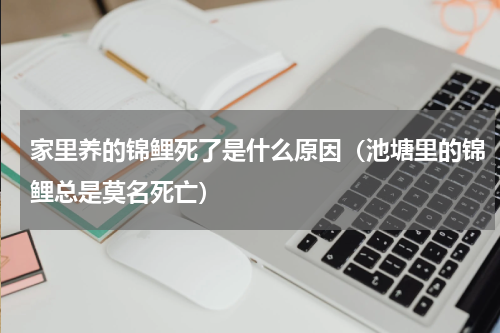 家里养的锦鲤死了是什么原因（池塘里的锦鲤总是莫名死亡）