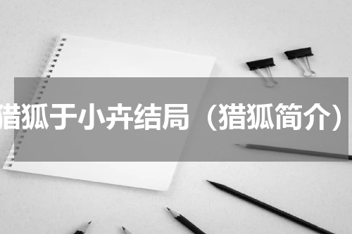 猎狐于小卉结局（猎狐简介）