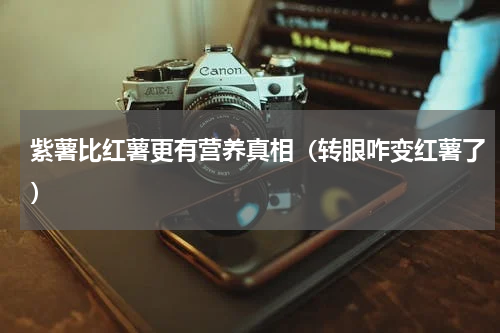 紫薯比红薯更有营养真相（转眼咋变红薯了）