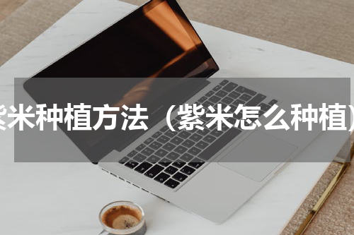紫米种植方法（紫米怎么种植）