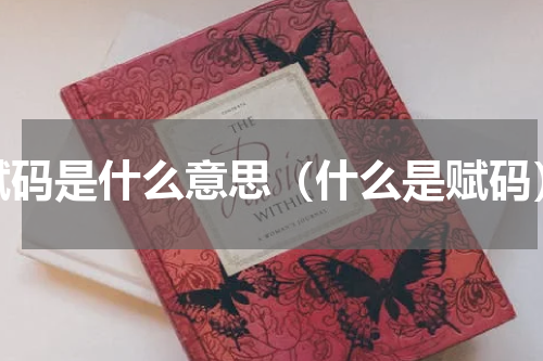 赋码是什么意思（什么是赋码）