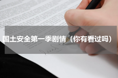 国土安全第一季剧情（你有看过吗）