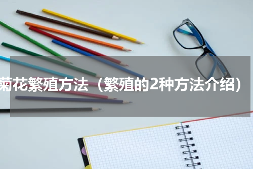 菊花繁殖方法（繁殖的2种方法介绍）