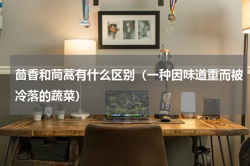 茴香和茼蒿有什么区别（一种因味道重而被冷落的蔬菜）