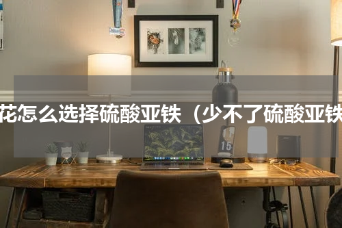 养花怎么选择硫酸亚铁（少不了硫酸亚铁）