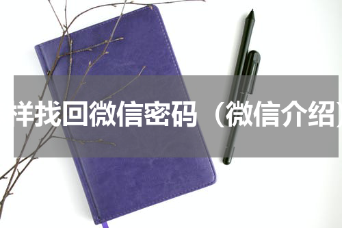 怎样找回微信密码（微信介绍）