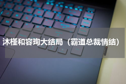 沐槿和容珣大结局（霸道总裁情结）