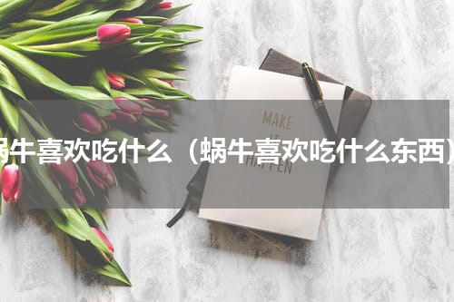 蜗牛喜欢吃什么（蜗牛喜欢吃什么东西）