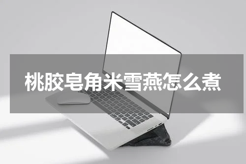 桃胶皂角米雪燕怎么煮
